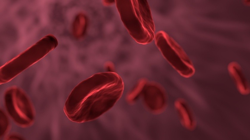 La anemia es la falta de glóbulos rojos en la sangre.(Archivo GH.)