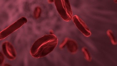 ¿Detectar anemia temprana en niños? Con un teléfono inteligente se podría lograr