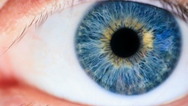 A los niños también les puede dar glaucoma: ¿Por qué ocurre?