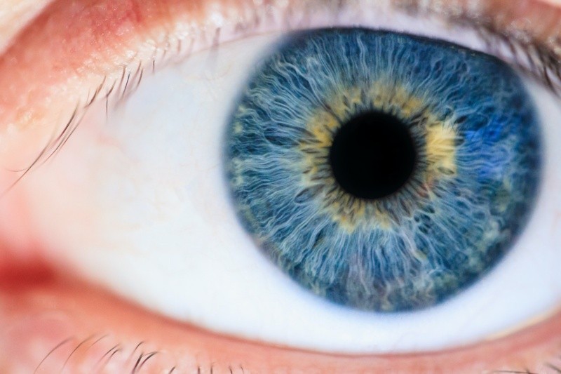 El glaucoma puede afectar a personas mayores de 60 años Pexels.  