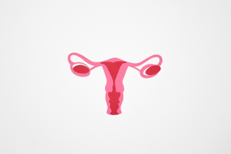  La endometriosis afecta más comúnmente a los ovarios, las trompas de Falopio y el tejido que recubre la pelvis.. FOTO PEXELS