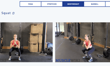MuscleWiki, la página web y app que te dice rápidamente qué ejercicios hacer