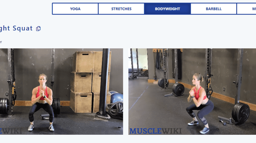 MuscleWiki indica qué ejercicios hacer.(Captura)