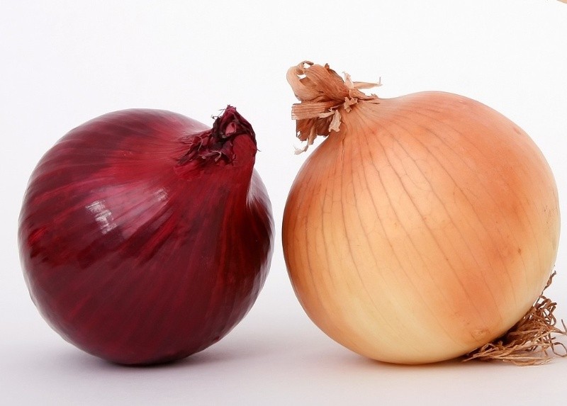 Dejando de lado sus diferencias, tienen un similitud en común, pues tanto la cebolla morada como blanca podrían tener beneficios contra la lucha del cáncer, según estudio. FOTO PIXABAY 