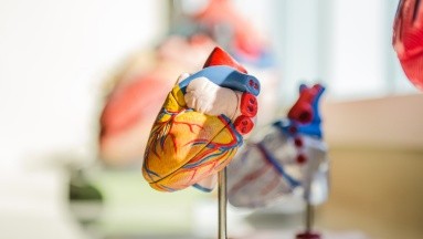 ¿Qué son los soplos cardíacos en niños y cuándo podrían ser preocupantes?