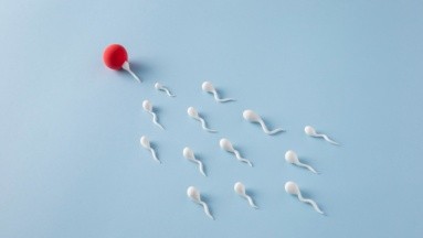 Donante de esperma es vinculado con 550 hijos en Países Bajos; mintió a futuros padres