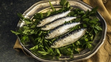Profeco: Estas son las cinco sardinas envasadas que contiene mayor cantidad de proteína