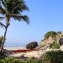3 playas que no deberías visitar en Semana Santa por posibles riesgos a la salud, según Cofepris
