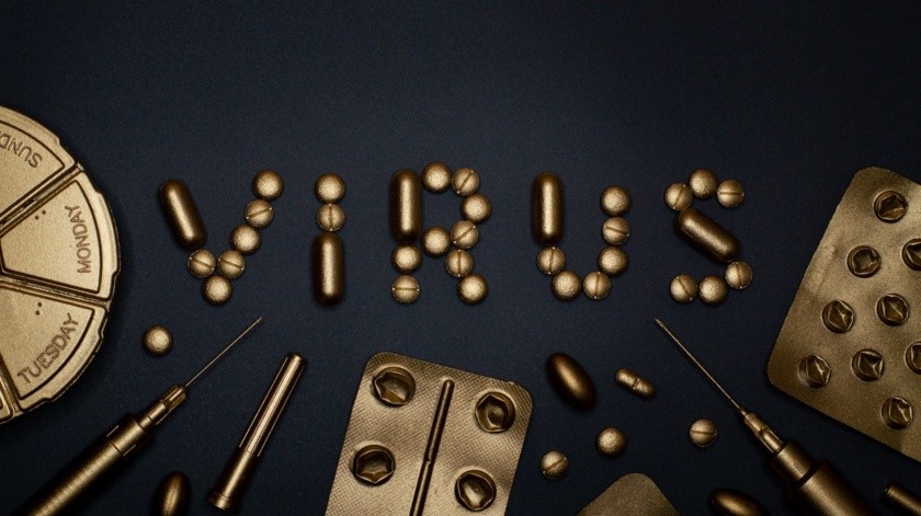 El virus de Marburgo puede llegar a ser mortal.(Foto de Miguel Á. Padriñán en Pexels.)