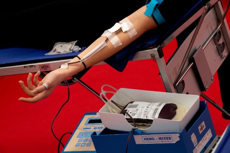 El sexo del donador de sangre no influye en la supervivencia del receptor. Foto: EFE 