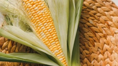¿Por qué no deberías deshacerte de la seda de maíz?