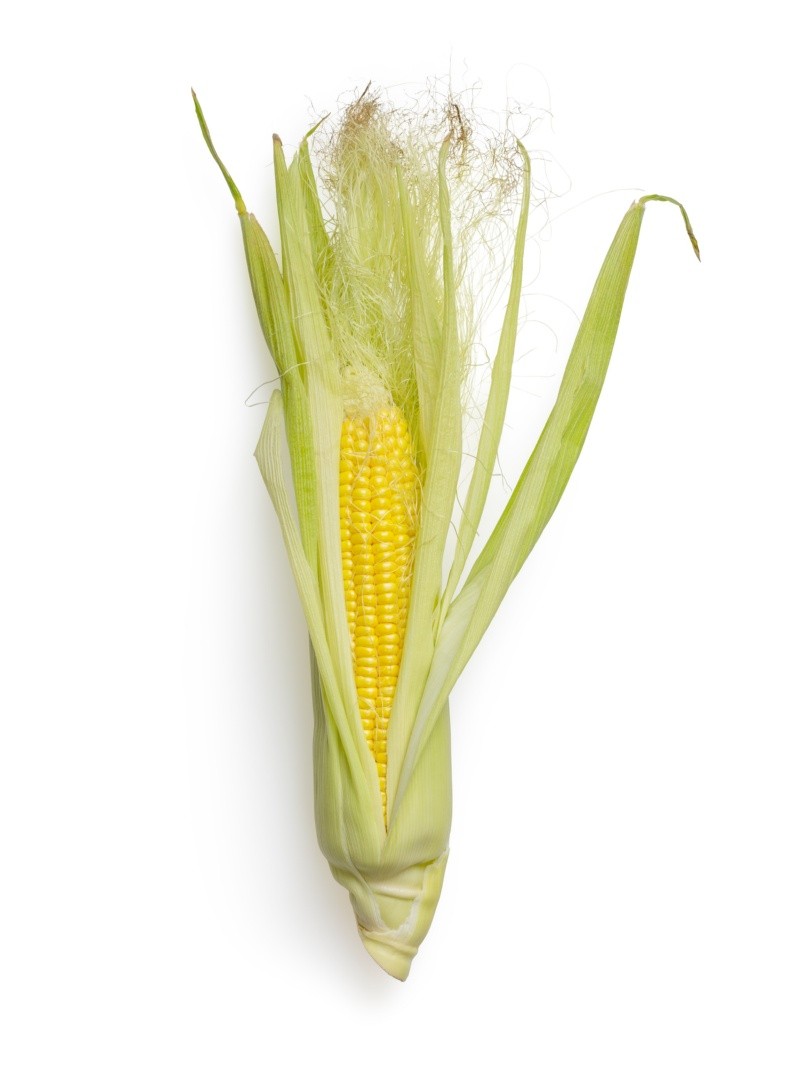 Estudios sugieren que la seda de maíz tiene propiedades antiinflamatorias FOTO:Mockup Graphics/UNSPLASH