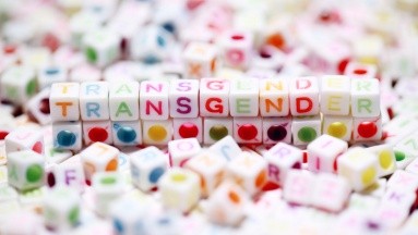 En Florida, las personas trans solo pueden usar el baño público según su sexo de nacimiento