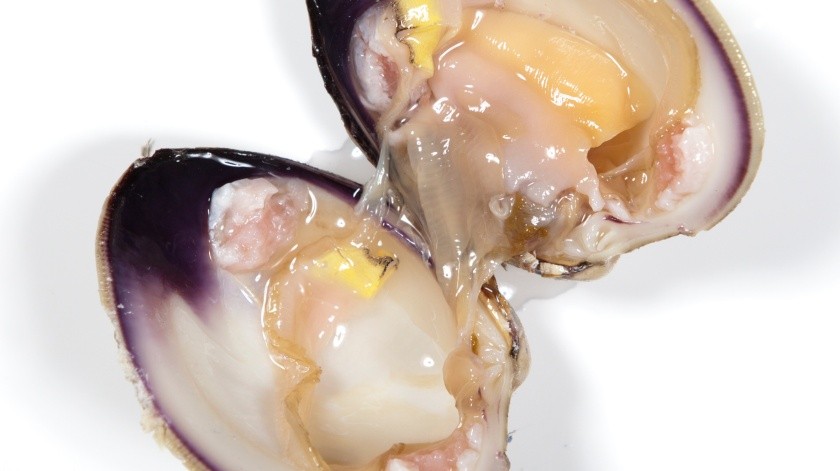 El consumo de ostras crudas o poco cocidas puede representar riesgos para la salud.(UF/IFAS Photo by Tyler Jones.)