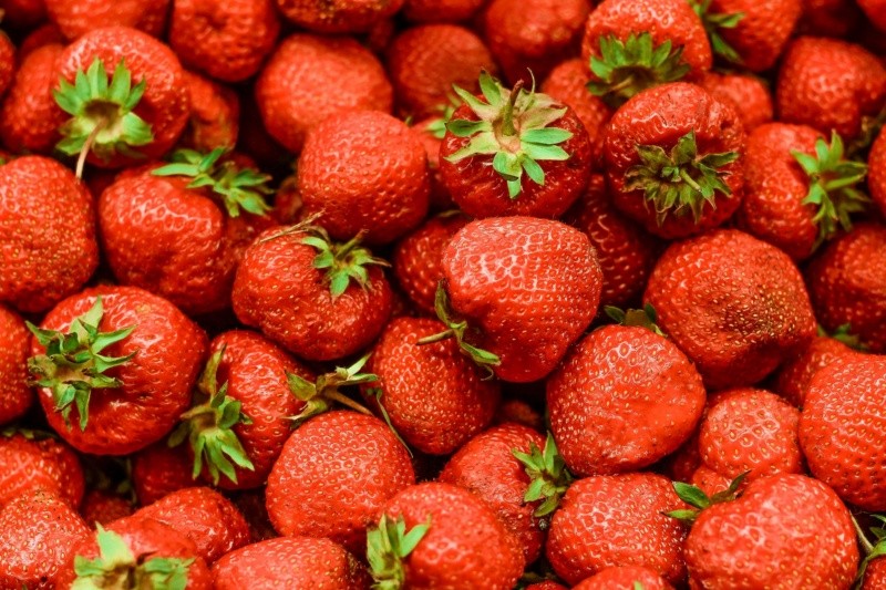 Las fresas contienen flavonoides, que contribuyen a dilatar las arterias, protegen el endotelio (la capa interior de los vasos sanguíneos) y controlan la tensión arterial.  FOTO: Anton Darius