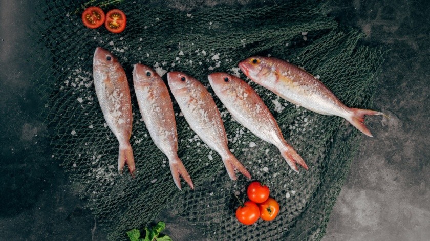 El pescado tiene ácidos grasos como omega 3, que son los encargados de estabilizar el metabolismo de las grasas.(Harris Vo/unsplas)