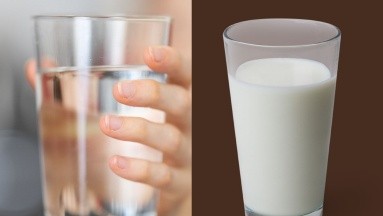 ¿La leche es mejor que el agua para hidratarse? Esto dice Harvard
