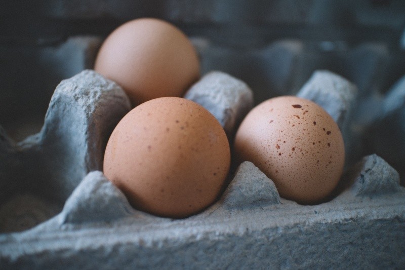 El consumo de carne y huevos de aves no representa un riesgo para la transmisión de la gripe aviar. FOTO:Monserrat Soldú/PEXELS