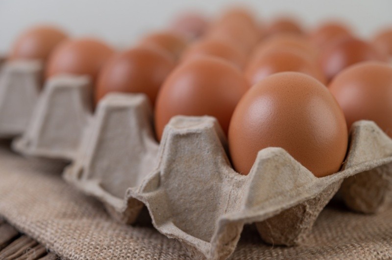 A veces puede ser común encontrar huevos que están sucios de la cáscara. Foto por jcomp en Freepik 