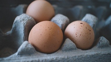 ¿Qué se puede hacer si los huevos tienen la cáscara sucia?