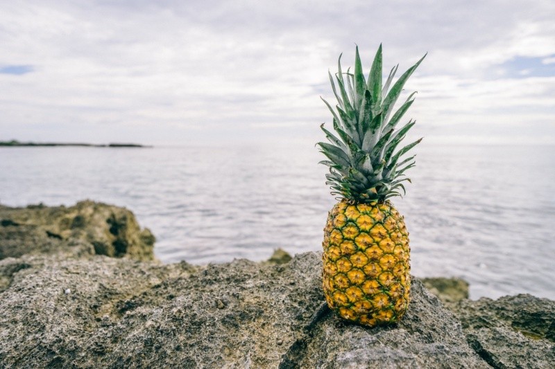 La piña es una fruta tropical.  Foto de Pineapple Supply Co. en Pexels. 