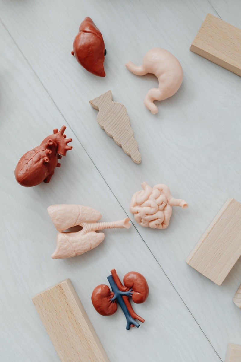 La donación de órganos puede salvar muchas vidas. Foto de Karolina Grabowska en Pexels.  