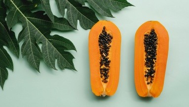 La papaya contiene magnesio, ¿para qué funciona?