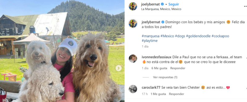 La prometida de Paúl compartió fotos con sus perros y entre ellos Chéster. @JoelyBernat IG.  