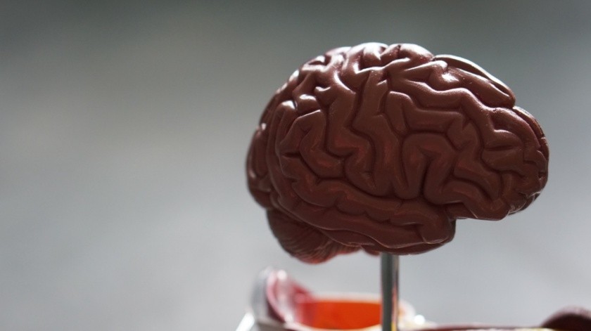 Neurocirujano comparte sus conocimientos sobre cómo mantener una buena salud cerebral.(Robina Weermeijer/PEXELS)