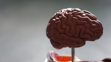 Alzheimer: Un descubrimiento belga podría ayudar al desarrollo de nuevos fármacos