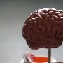 Alzheimer: Un descubrimiento belga podría ayudar al desarrollo de nuevos fármacos