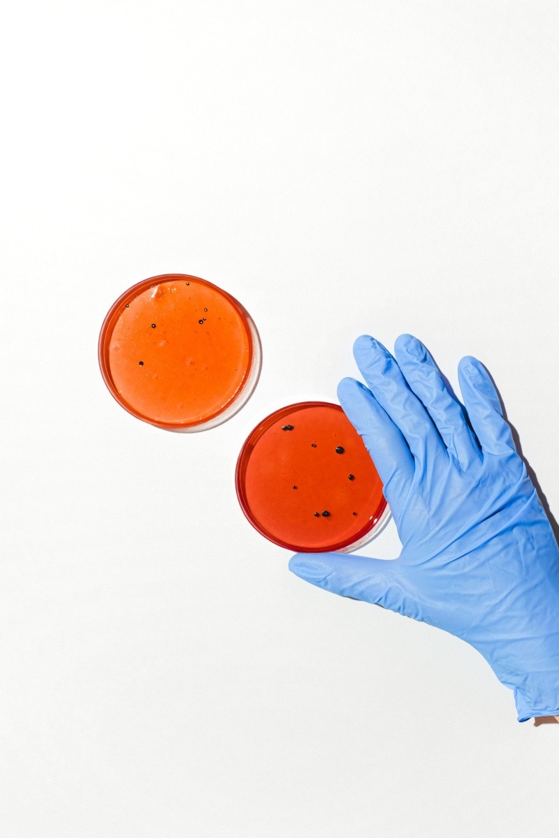 Las bacterias pueden volverse peligrosas. Foto de Anna Shvets en Pexels.  