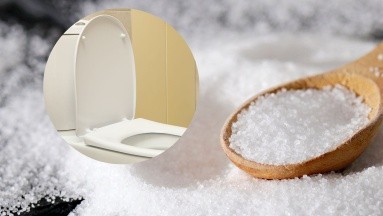 ¿Realmente tiene beneficios colocar sal en el inodoro todas las noches?