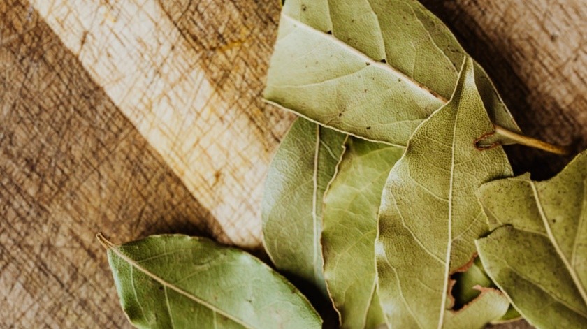 Las hojas de laurel se puede usar en guisos(Foto de Karolina Grabowska en Pexels.)