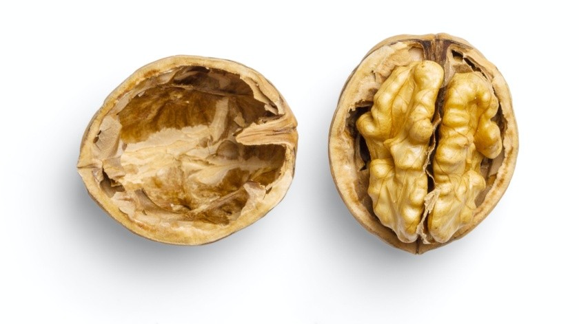 Los alimentos ricos en ácidos grasos omega-3, como las nueces, son excelentes para alimentar el cerebro y mejorar su función cognitiva(Mockup Graphics/UNSPLASH)