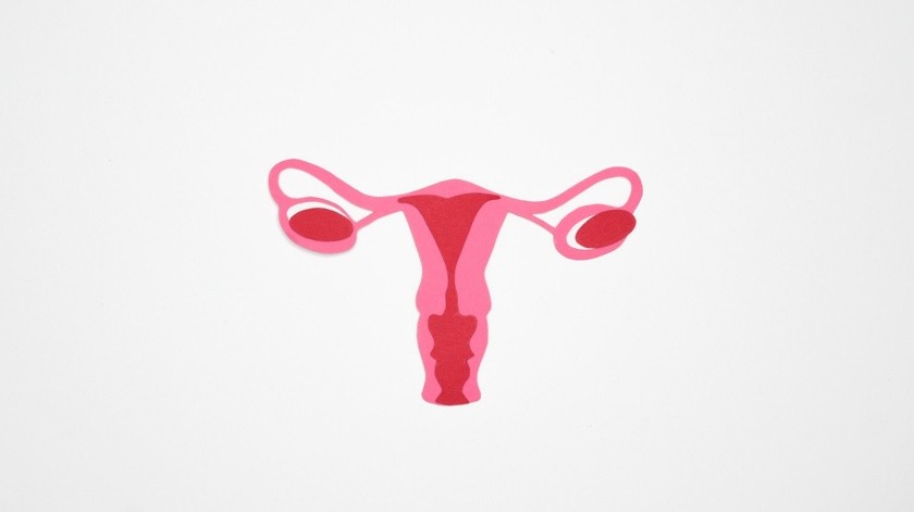 El cáncer de ovario se posiciona como una de las principales amenazas para las mujeres jóvenes(Nadezhda Moryak/PEXELS)