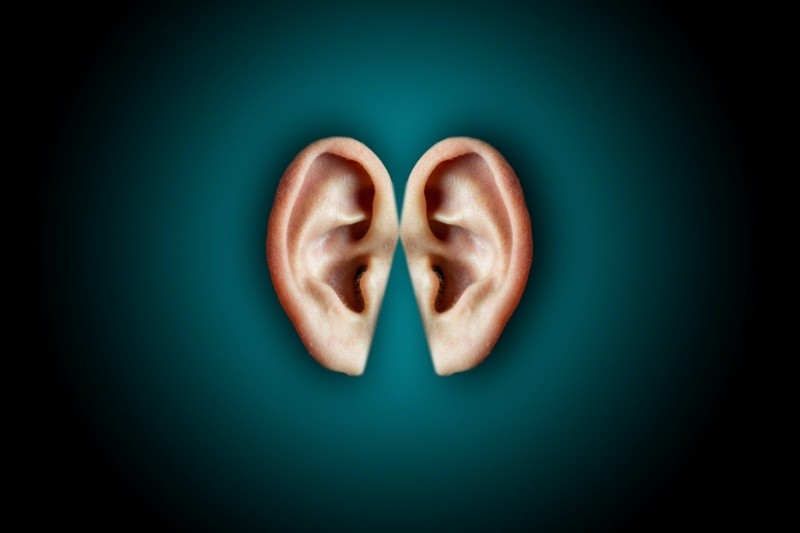 Los oídos tapados por lo general ocurre cuando hay gripe. Foto de Bastian Riccardi en Pexels.  