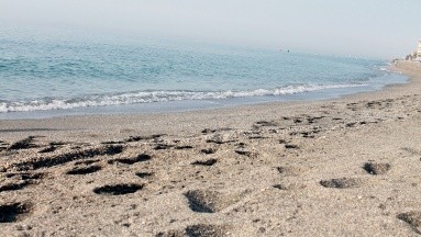 Altos niveles de bacterias fecales detectan en algunas playas al norte de EU y las cierran