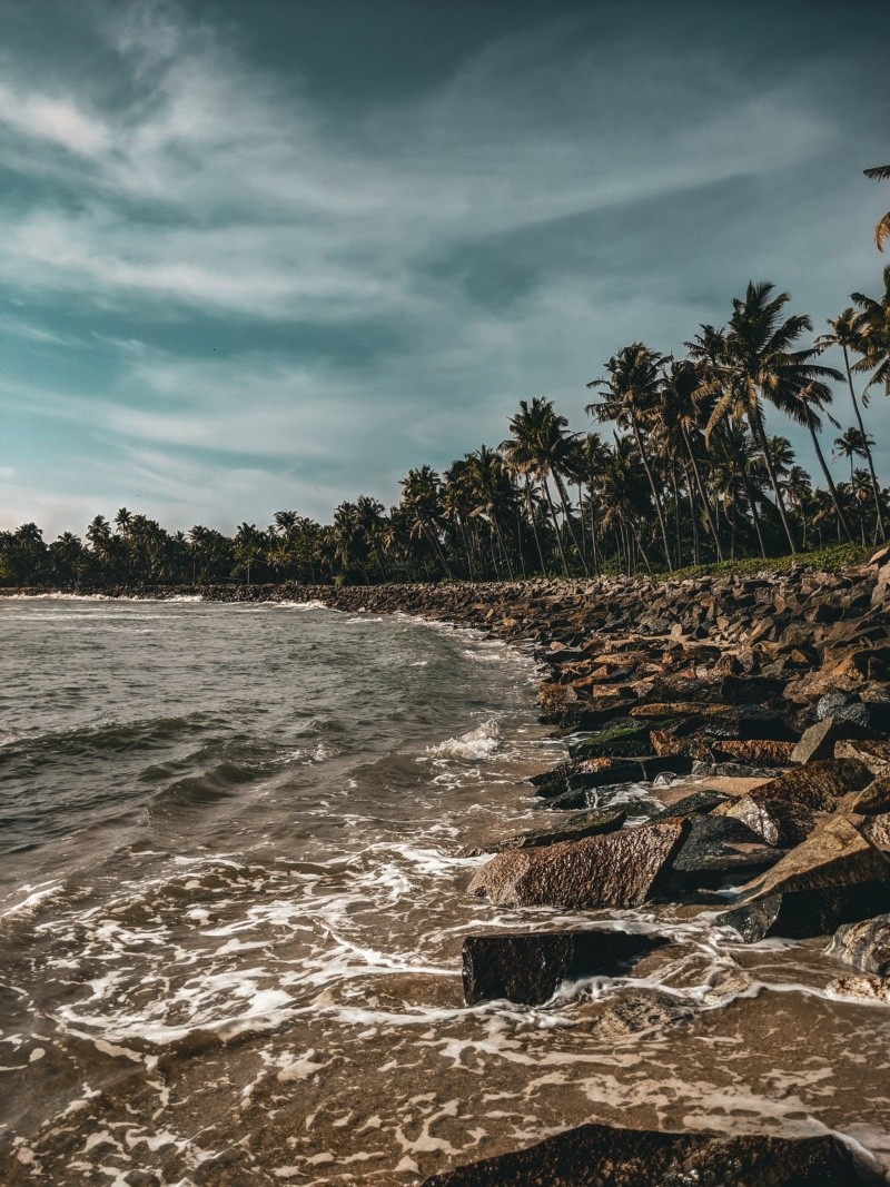 Las playas para reabrir deben estar aptas para el público, luego de lo informado sobre las bacterias.Foto de Vinayak  Jayaram en Pexels.  