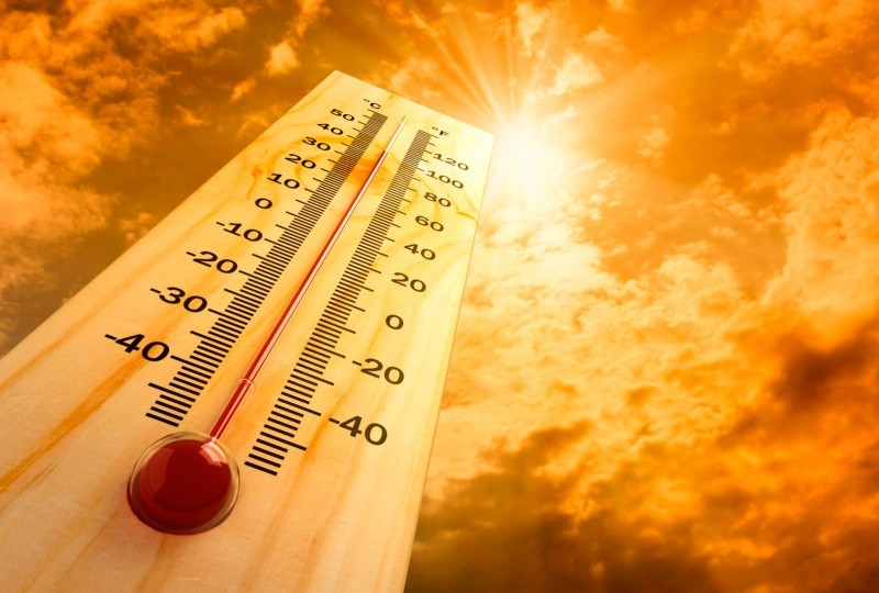  La OMS alertó por las altas temperaturas y los riesgos que éstas representan para la salud. Foto: Archivo
