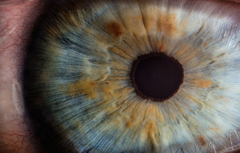 Estos resultados prometedores abren nuevas posibilidades para enfermedades oculares genéticas FOTO:v2osk/UNSPLASH