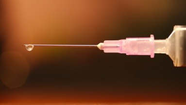 Científicos desarrollan vacuna indirecta para combatir la enfermedad de Lyme