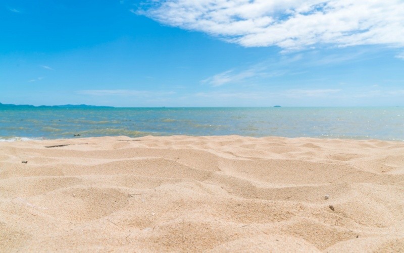 La Cofepris encontró en 14 playas de México altos niveles de bacterias fecales. Imagen por topntp26 en Freepik 