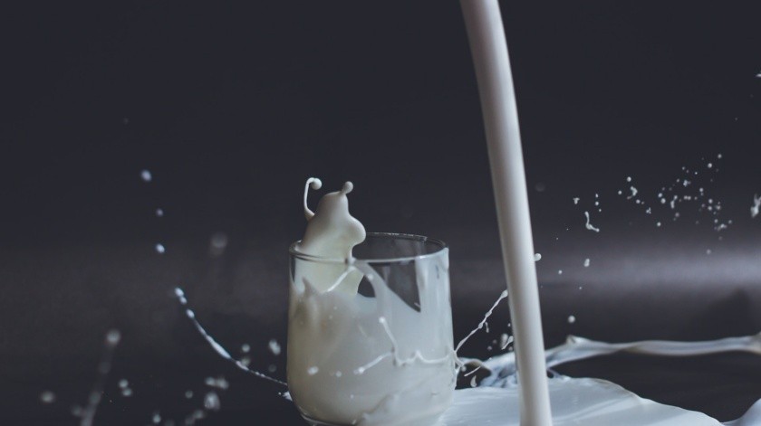 La leche hace presencia en la dieta desde años atrás debido a sus nutrientes beneficiosos para la salud(Anita Jankovic/UNSPLASH)