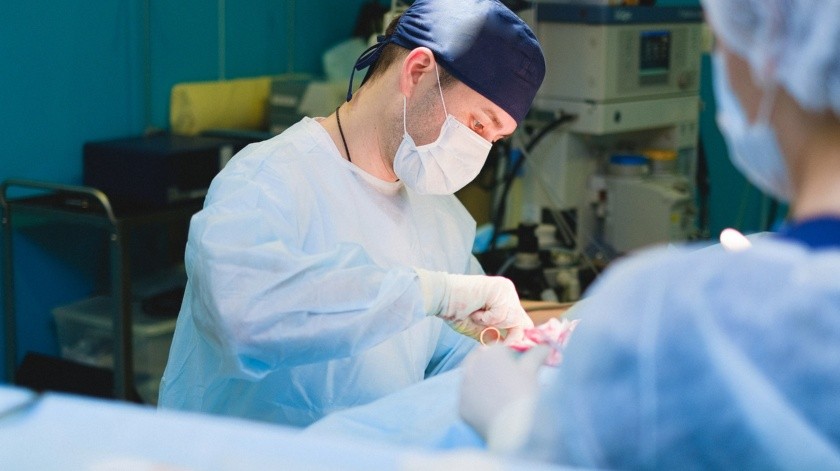 Expertos suecos cuestionan la necesidad de cirugía en la apendicitis, y proponen tratamiento con antibióticos(Anna Shvets/PEXELS)
