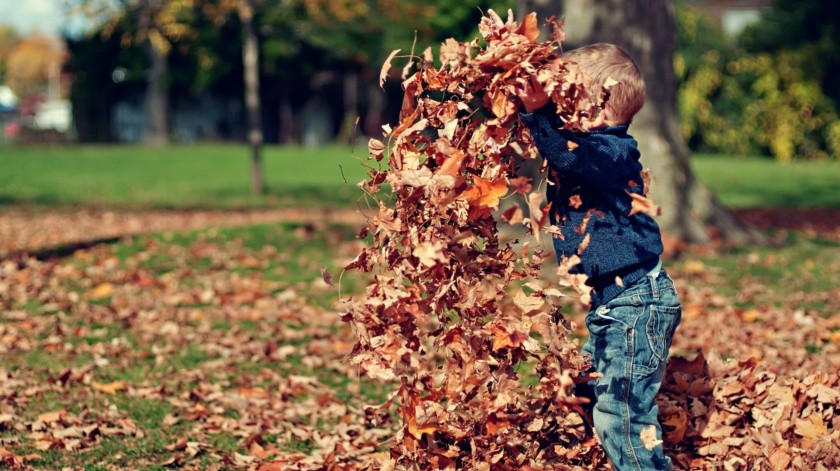 Estudios dicen que los niños menores de 5 años pasaban el 50% del año con al menos un virus respiratorio.(Scott Webb/pexels)