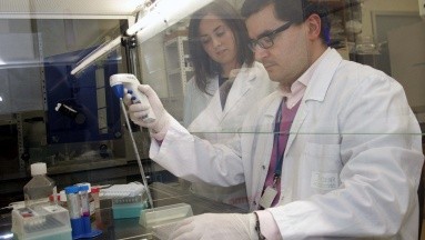 Avance científico: Nueva tijera biomolecular enfoca las mucinas para combatir células cancerosas
