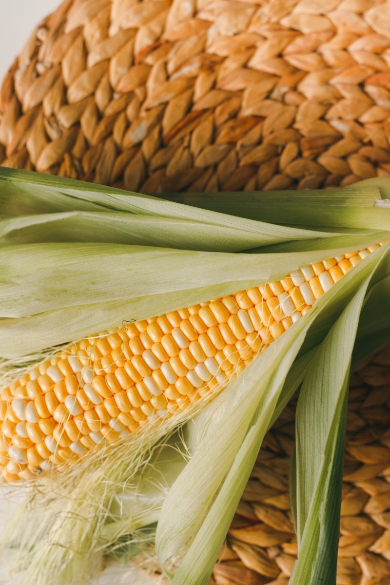 Las ricas tradiciones culinarias de diversas culturas transforman el maíz en platillos únicos . FOTO:Vlad Deep/UNSPLASH