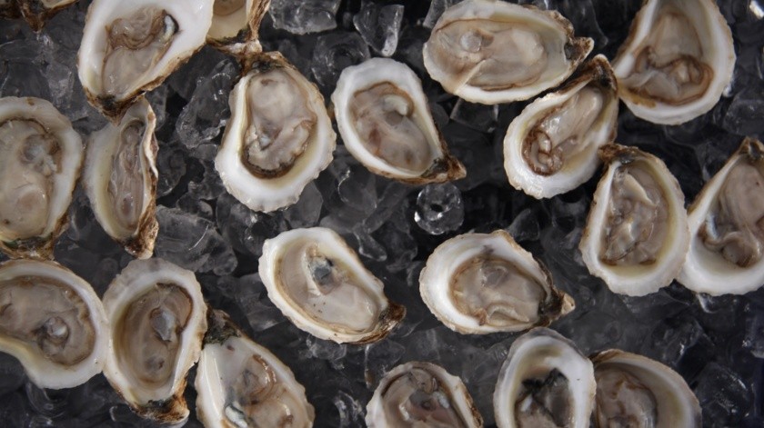 Un tercer residente resultó infectado después de consumir ostras crudas(Hayden Walker/unsplash)