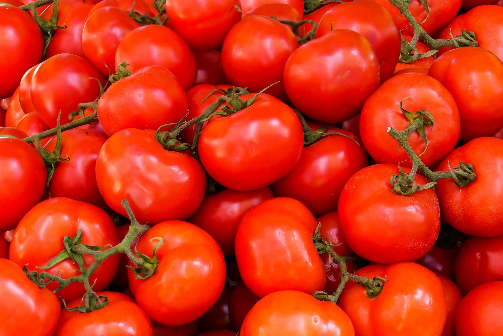 ¿El tomate pierde sus beneficios si se hierve?
